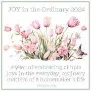 SAL PATCH -  Joy in the Ordinary