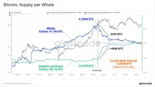 Биткоин Размер поставки на крупного держателя