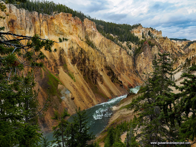 Gran Cañón de Yellowstone desde el Sendero del Tio Tom, por El Guisante Verde Project