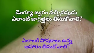 dengue-fever-health-tips-telugu