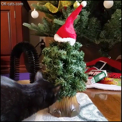 Christmas Cat GIF • Black Cat is very intrigued by the singing Santa [ok-cats.com]
