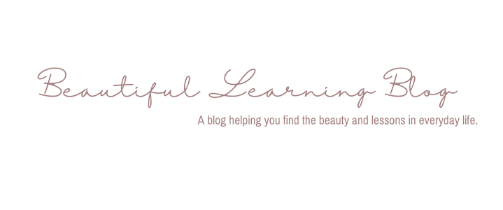 Beautiful Learning Blog