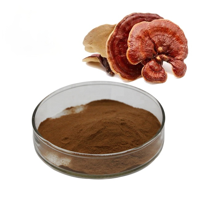 Ganoderma Mushroom Products in Tehran | MycoNutra® Ganoderma | MycoNutra® mushroom products  