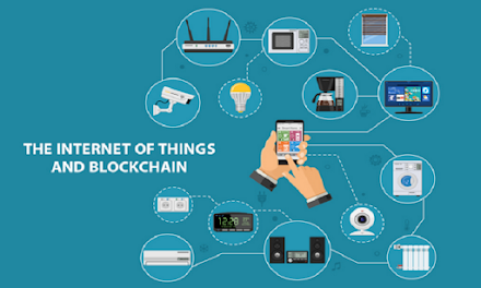 How Can the Blockchain Secure IoT Networks?