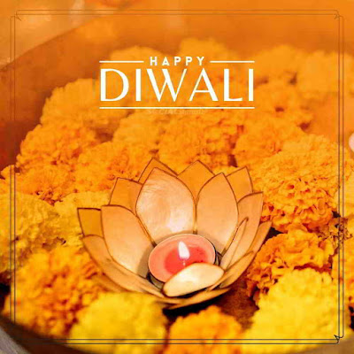 Beautiful Happy Diwali Quotes with Diwali Lamp Images, Happy Diwali Quotes, Happy Diwali Wishes Quotes in English for, Happy Diwali Wishes, Happy Diwali Wishes, Happy Diwali Wishes Quotes, Happy Diwali Wishes Quotes in English, Happy Diwali Wishes in English, Diwali Wishes, Diwali Wishes, Diwali Wishes Quotes, Diwali Wishes Quotes in English, Diwali Wishes in English, Happy Diwali Quotes, Happy Diwali Quotes, Happy Diwali Quotes wishes, Happy Diwali Quotes wishes in English, Happy Diwali Quotes in English, Happy Diwali Wishes in English, Happy Diwali quotes in English, Happy Diwali Wishes, Happy Diwali Wishes Quotes, Happy Diwali Quotes, Happy Diwali Wishes Quotes, Happy Diwali Wishes Quotes in English,