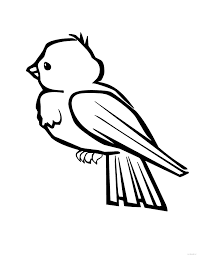 Top 10 Birds Coloring Pages