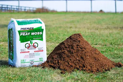 Peat Moss or Straw for Grass Seed