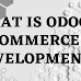 What Is Odoo E-commerce Development?