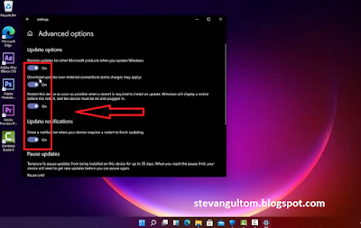 Update options di windows 11