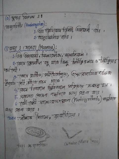 SSC Biology Chapter 1 Hand Note