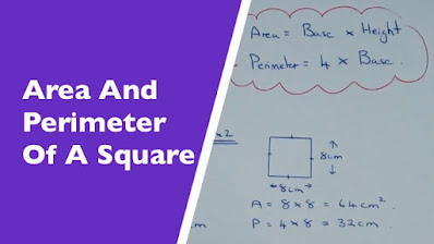 How to calculate perimeter and area of square in Java? Example Tutorial