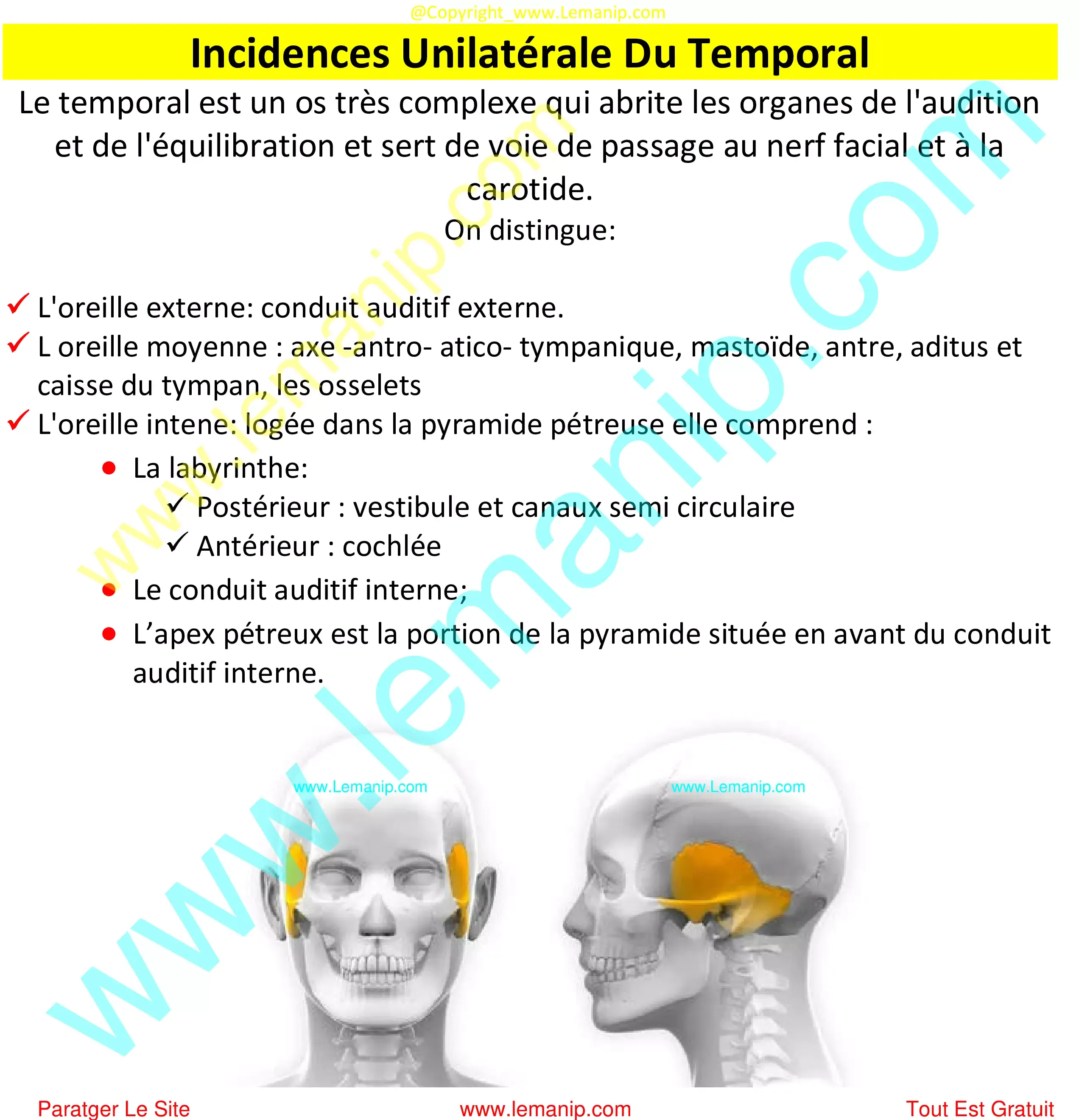 la crane,la crâne,human skull,multiple myeloma skull xray,skull osteoma radiology,skull learning anatomy,exploded skull model,skull anatomy poster,giraffe skull,baboon skull