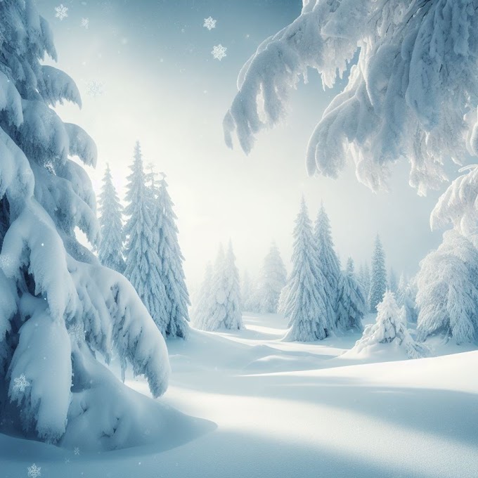 Chilly Winter ❄️ Landscape 