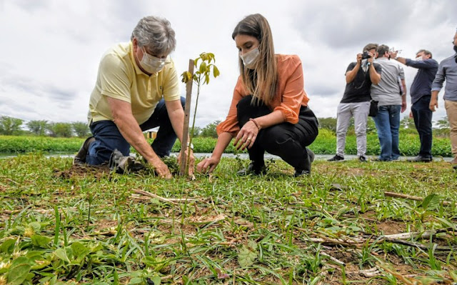 João Azevêdo inicia projeto de recuperação das nascentes do Rio Paraíba com plantio de mudas em Monteiro