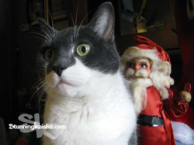 Flashback Feral Friday: Memories of Christmas Past