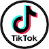 Profit from TikTok 2021