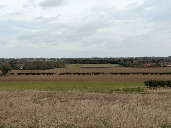 View towards Lingwood from the south