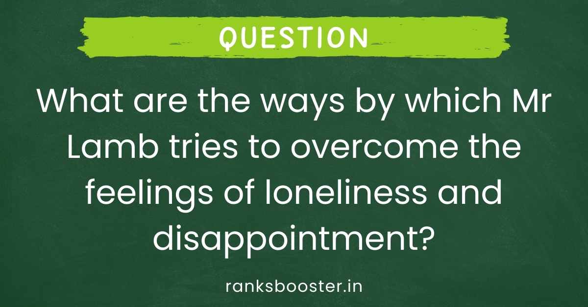 What are the ways by which Mr Lamb tries to overcome the feelings of loneliness and disappointment?