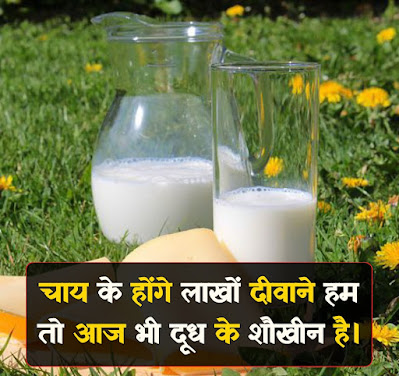 Milk Day Shayari In Hindi With Image