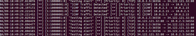 Figure 25 Snort detecting packets