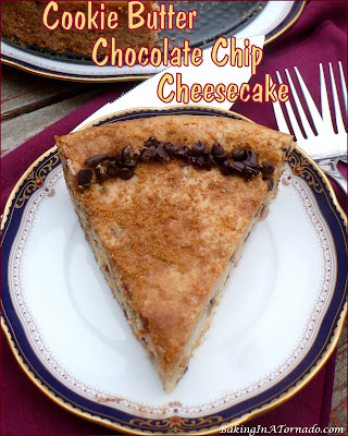 Cookie Butter Chocolate Chip Cheesecake, a creamy speculoos cheesecake studded with mini chocolate chips. | Recipe developed by www.BakingInATornado.com | #recipe #dessert