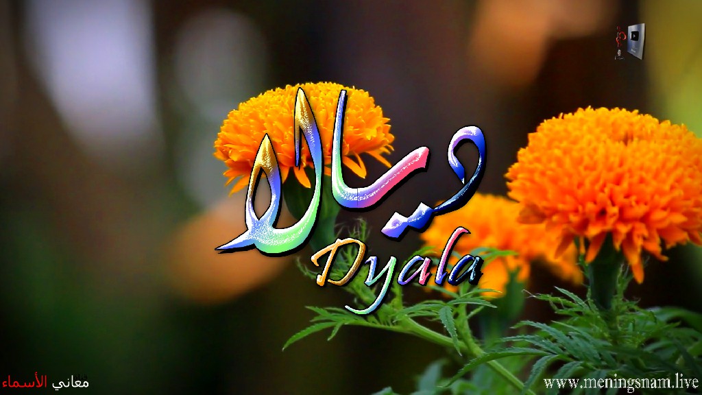 معنى اسم ديالا, وصفات, حاملة, هذا الاسم, Dyala,