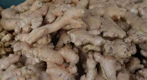 Is it possible to lose weight with ginger?