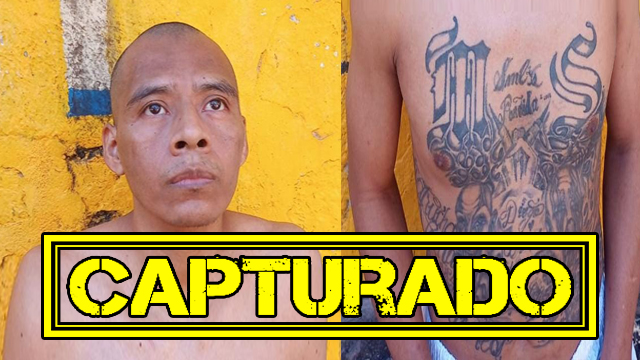 El Salvador: Atrapan a pandillero de la MS13 tras cumplir condena por homicidio afuera del penal