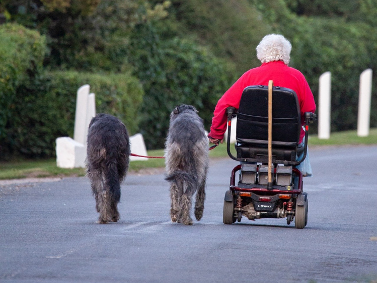 mobility scooter and dogs