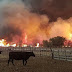 POR LA SEQUÍA Y LOS INCENDIOS, AGILIZAN EL MOVIMIENTO DE HACIENDA EN 5 PROVINCIAS