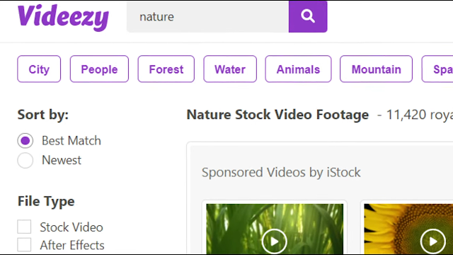 Website videezy penyedia video stock footage Gratis 