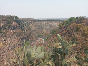 View of Victoria Falls Bridge from Zambian side of Victoria National Park.