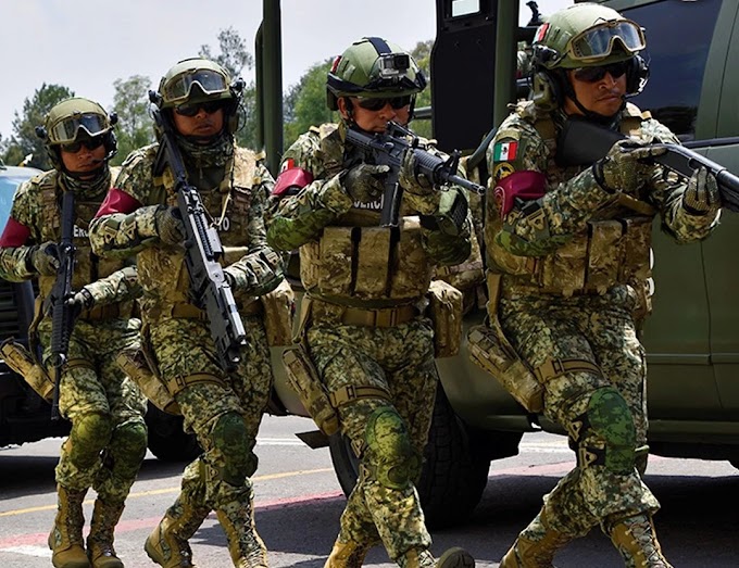 México crea fuerza de élite para combatir el crimen organizado