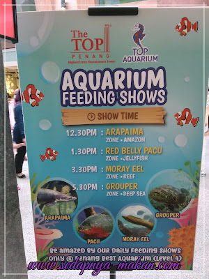 Jadual feeding fish