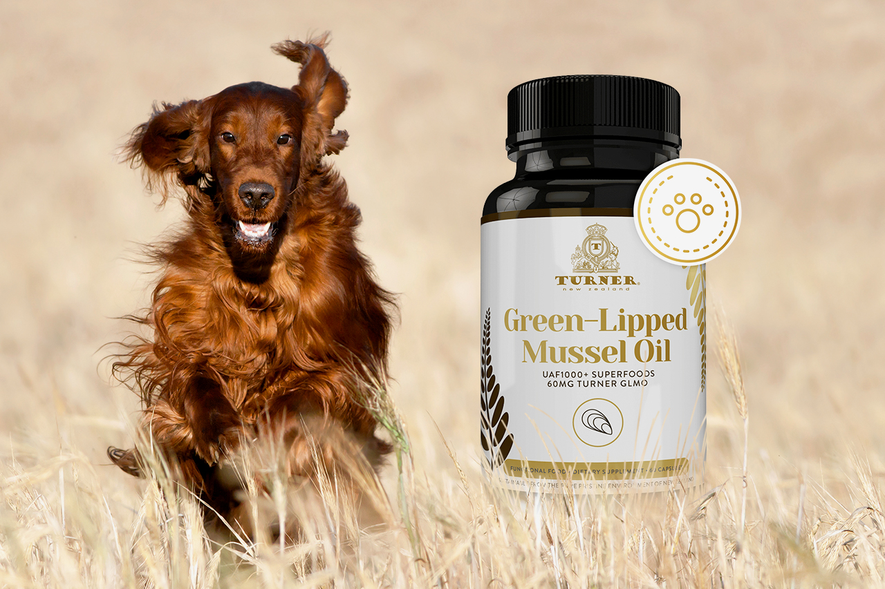 Benefits of TURNER Green Lipped Mussel Oil for Dog