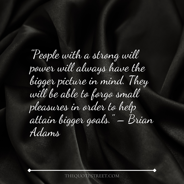 "People with a strong will power will always have the bigger picture in mind. They will be able to forgo small pleasures in order to help attain bigger goals." – Brian Adams