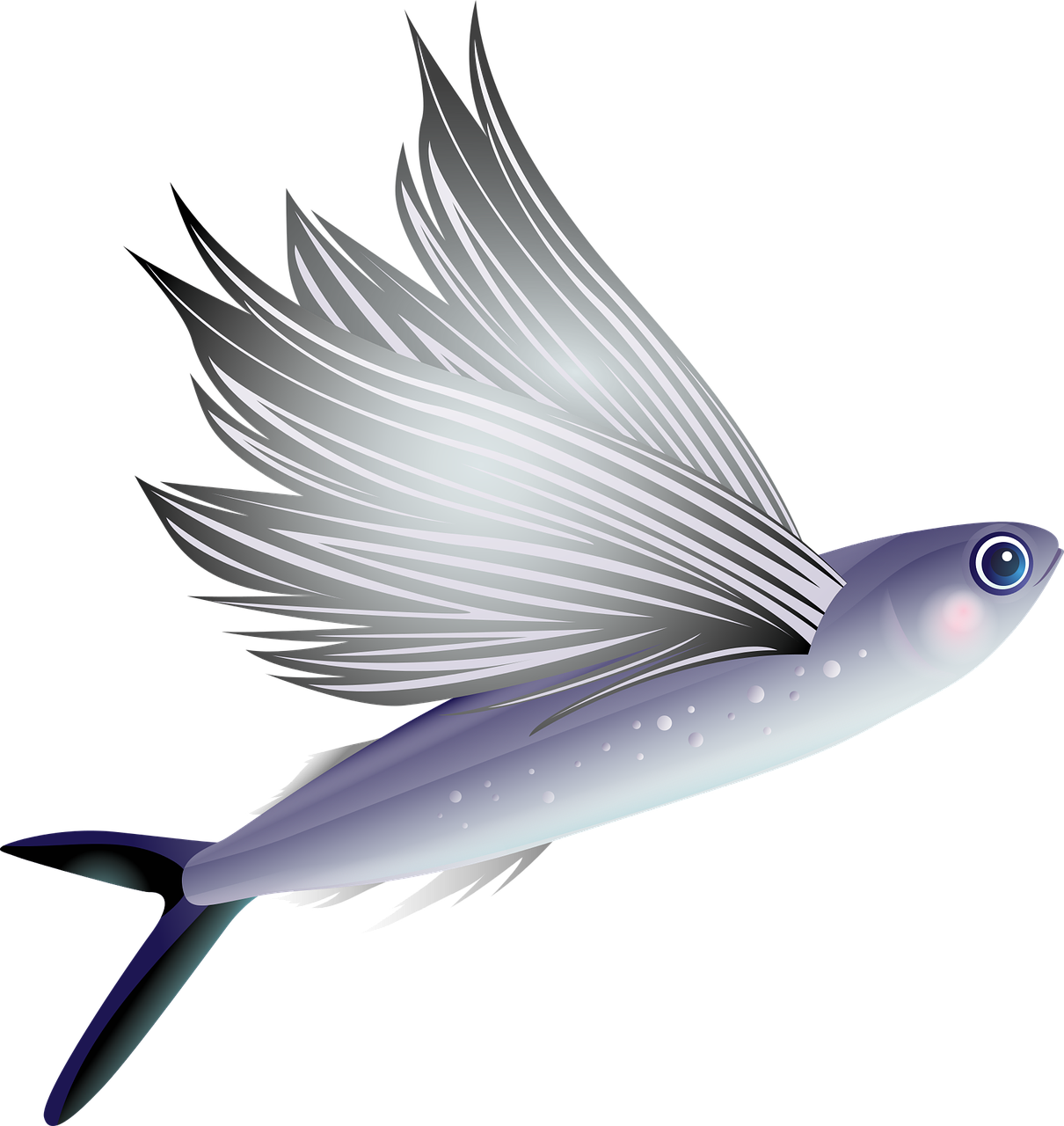 Ikan terbang dalam cerita rakyat dan mitologi