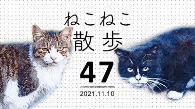 ねこねこ散歩☆MOVIE（47）