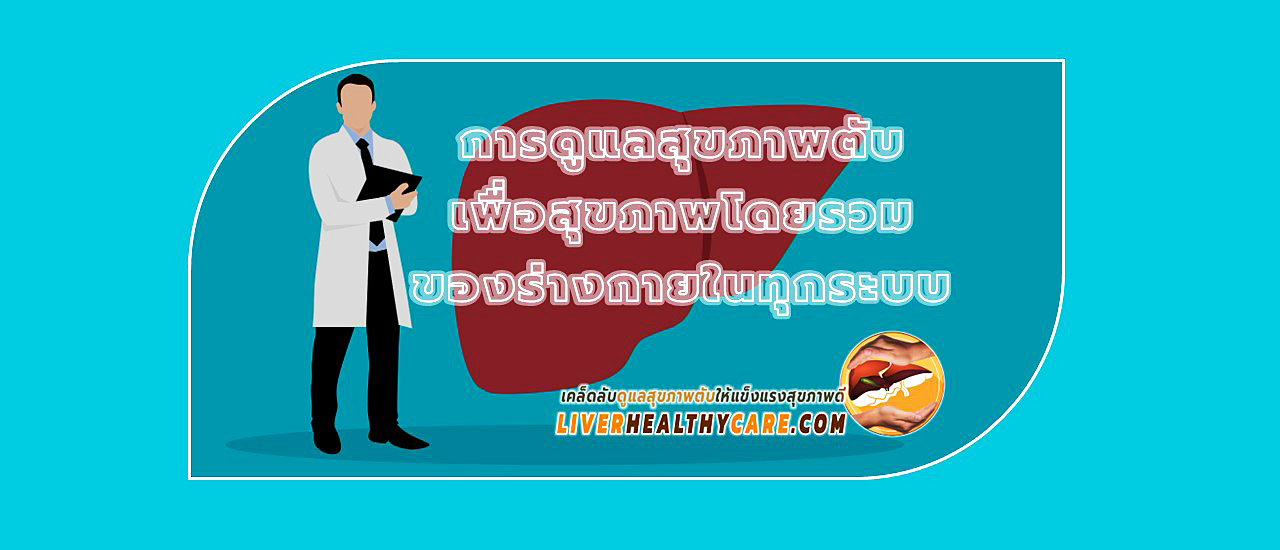 Liver Healthy Care การดูแลสุขภาพตับ อาหาร เสริม บำรุง ดูแล ตับ ไขมันพอกตับ ตับแข็ง ตับอักเสบ