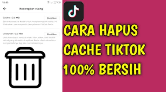 Cara Mengatasi TikTok Tidak Bisa Like