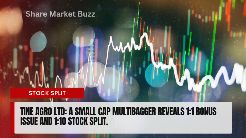 Small Cap Surprise: Tine Agro Announces Bold Stock Split & Bonus