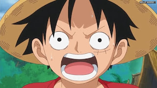 ワンピースアニメ ゾウ編 774話 ルフィ Monkey D. Luffy | ONE PIECE Episode 774
