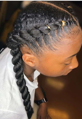 Twist braids hairstyles