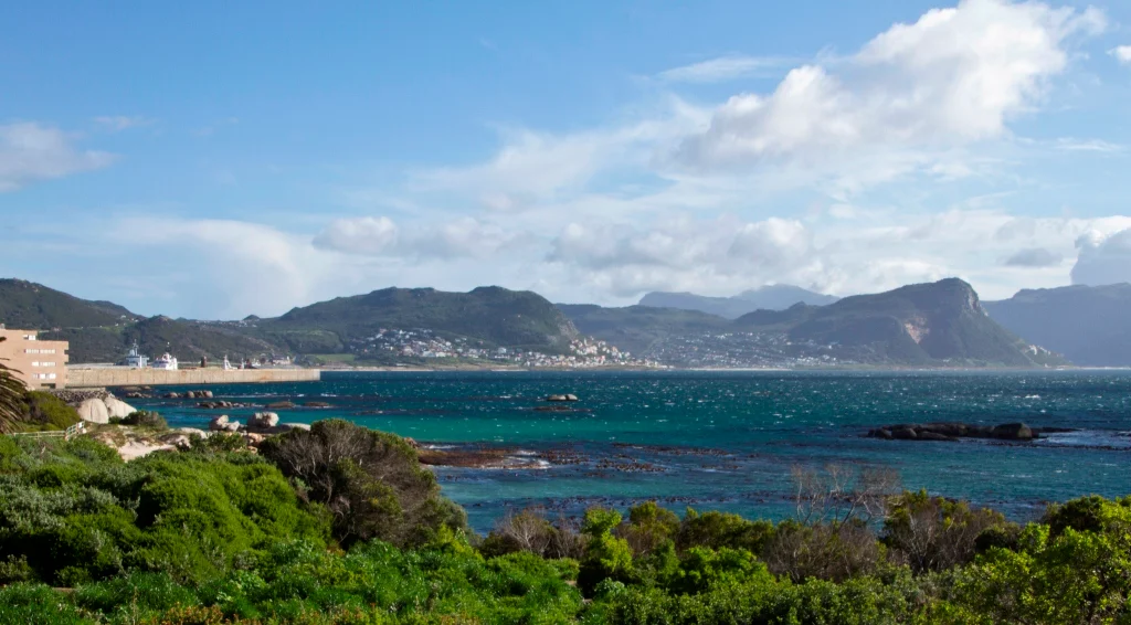 Boulders Beach Penguin Colony South Africa