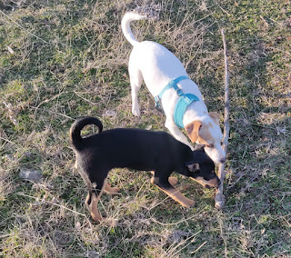Xena tries to take Thelma's stick