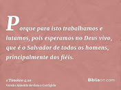 VERSO DO DIA - 1ª Tm 4:10