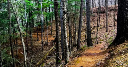 Trail Banner