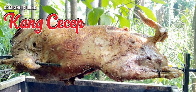 Kambing Guling Muda Kang Cecep Garut 0813-1612-8302.