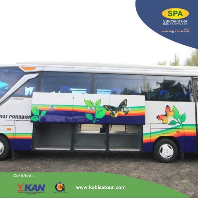 Medium Bus pariwisata surya putra spa premium class 35 seat