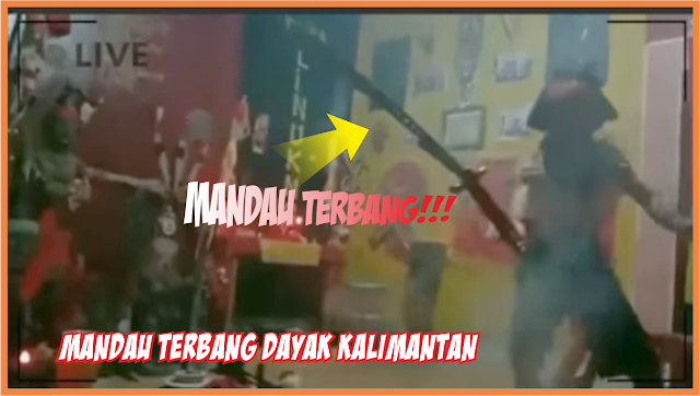 Asli Terbang!!! Mandau Terbang Sedang Mencari Mangsa | Dayak Kalimantan